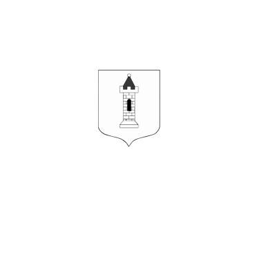 Lokalny Program Mikrograntów: Mikrogranty w gminie Wieluń 2023